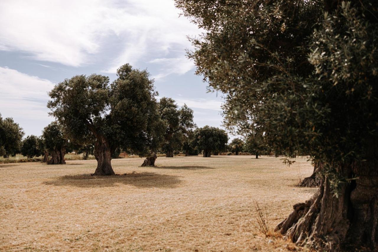Masseria Garrappa Fasano Zewnętrze zdjęcie