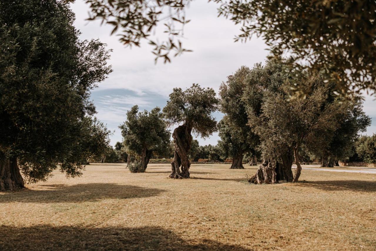 Masseria Garrappa Fasano Zewnętrze zdjęcie