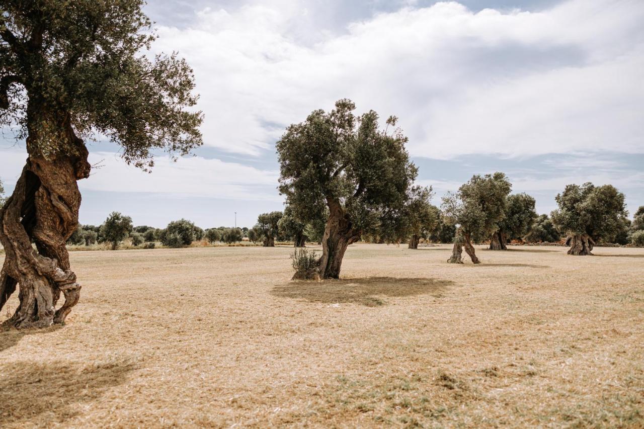 Masseria Garrappa Fasano Zewnętrze zdjęcie