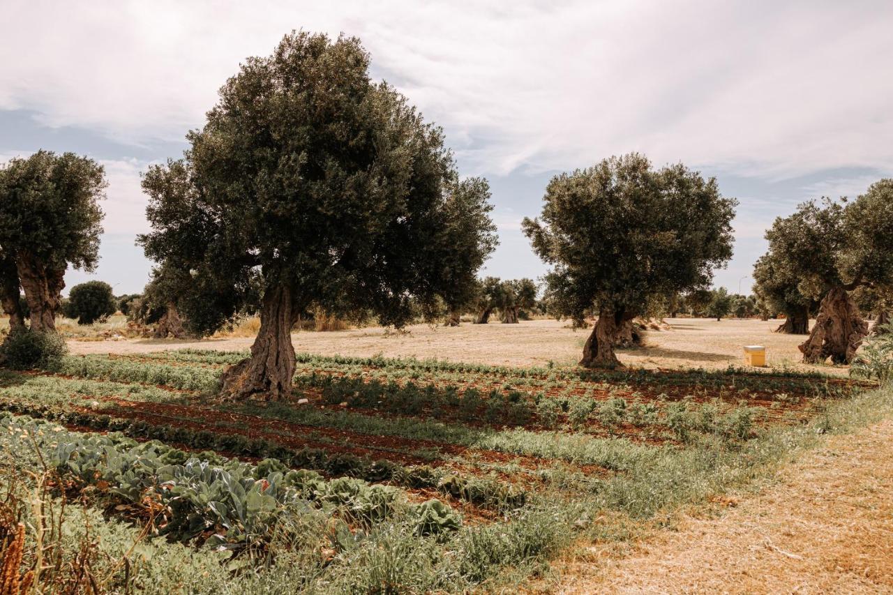 Masseria Garrappa Fasano Zewnętrze zdjęcie