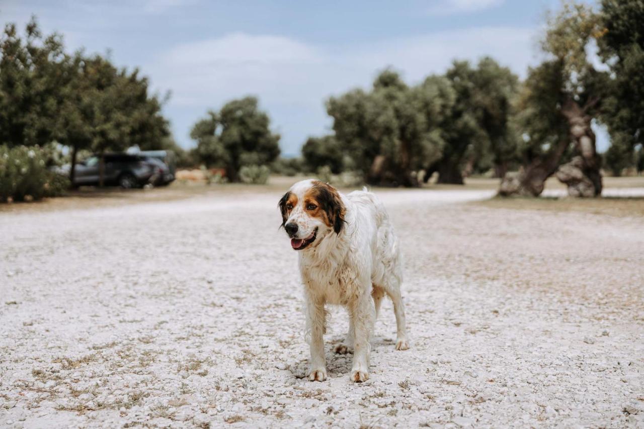 Masseria Garrappa Fasano Zewnętrze zdjęcie